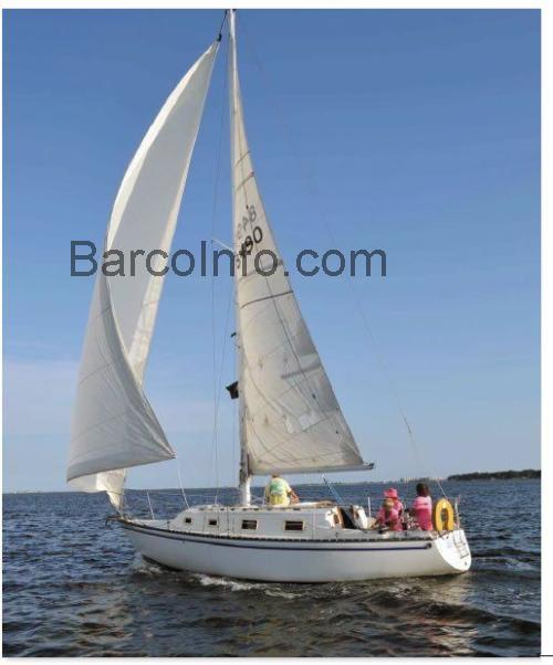 Hunter 30 ficha técnica y opiniones